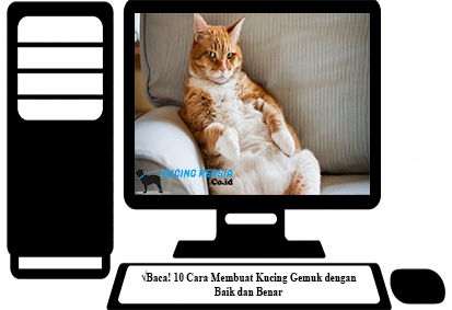 Detail Kucing Gemuk Dan Lucu Nomer 45