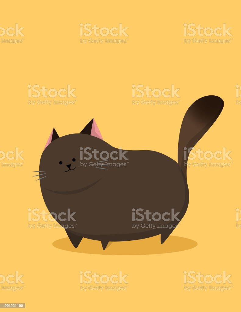 Detail Kucing Gemuk Dan Lucu Nomer 49