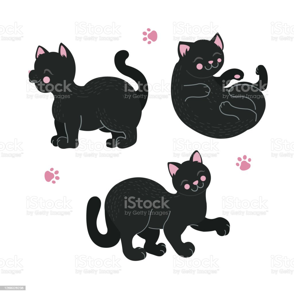 Detail Kucing Hitam Lucu Nomer 55