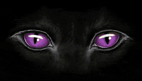 Detail Kucing Hitam Mata Merah Nomer 21