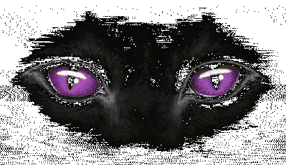 Detail Kucing Hitam Mata Merah Nomer 40