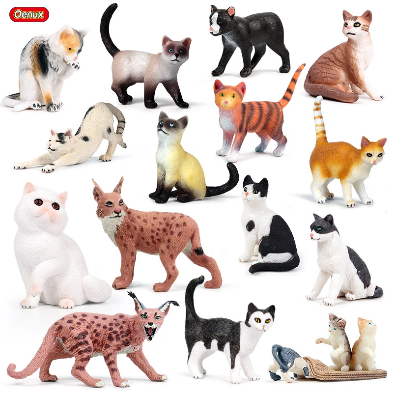Detail Kucing Hitam Persia Nomer 31