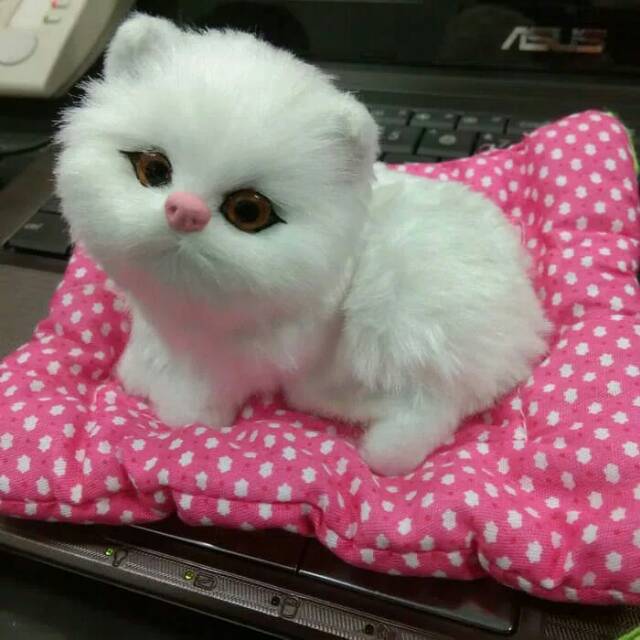 Detail Kucing Kecil Imut Nomer 28