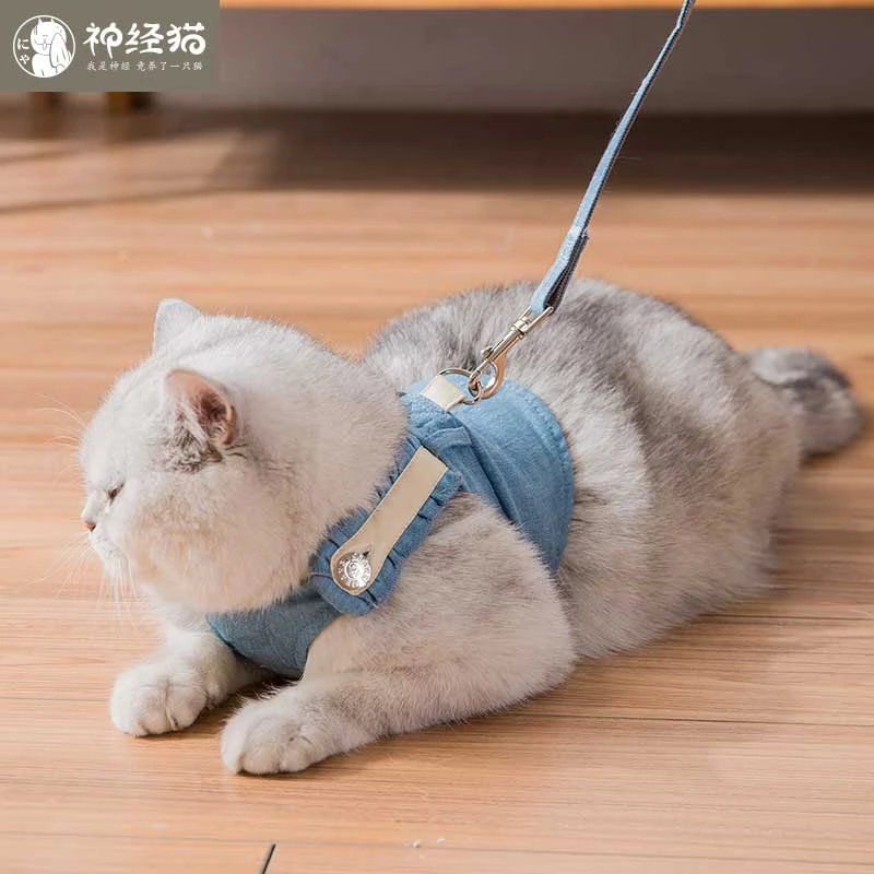 Detail Kucing Kecil Lucu Nomer 39