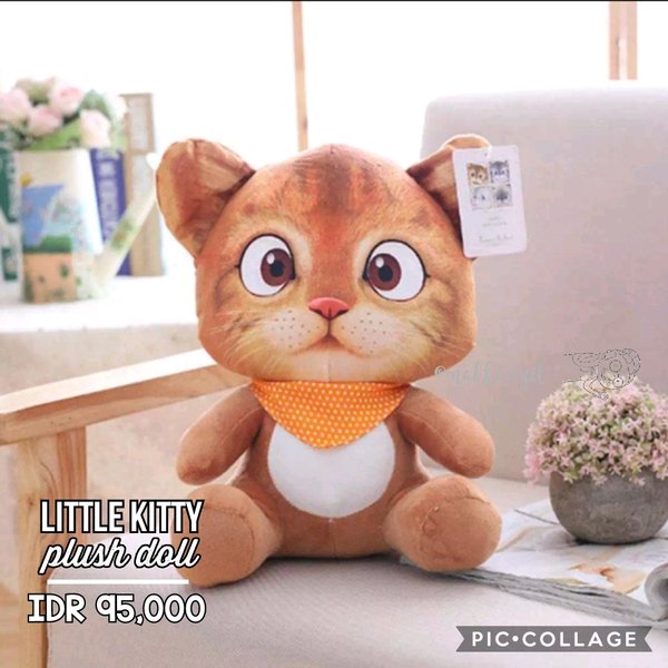 Detail Kucing Kecil Lucu Nomer 53