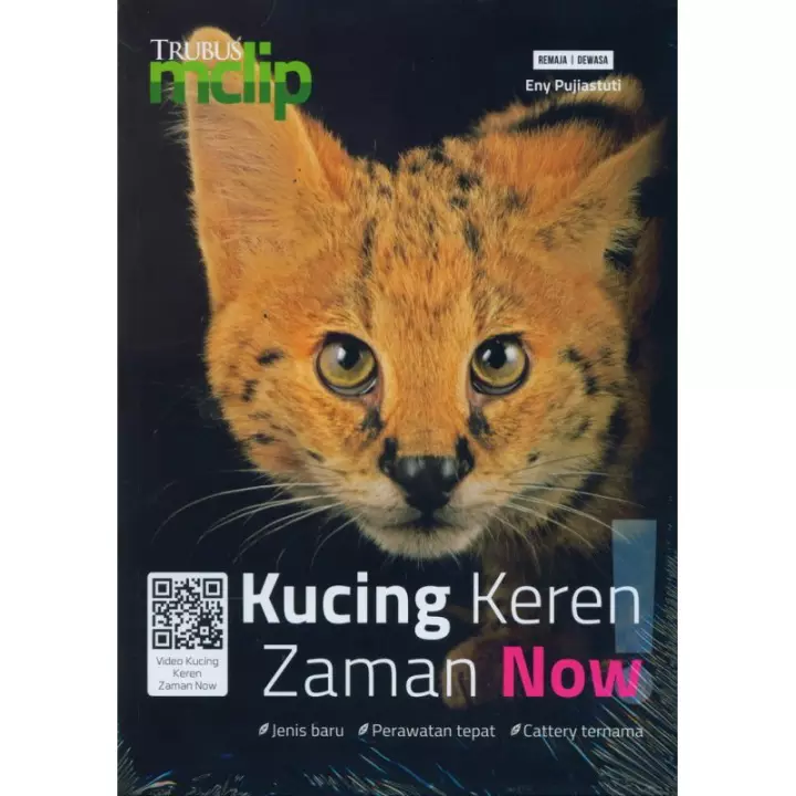 Detail Kucing Keren Nomer 37