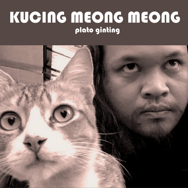 Detail Kucing Kucing Meong Meong Nomer 53