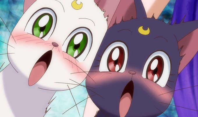 Detail Kucing Lucu Anime Nomer 8