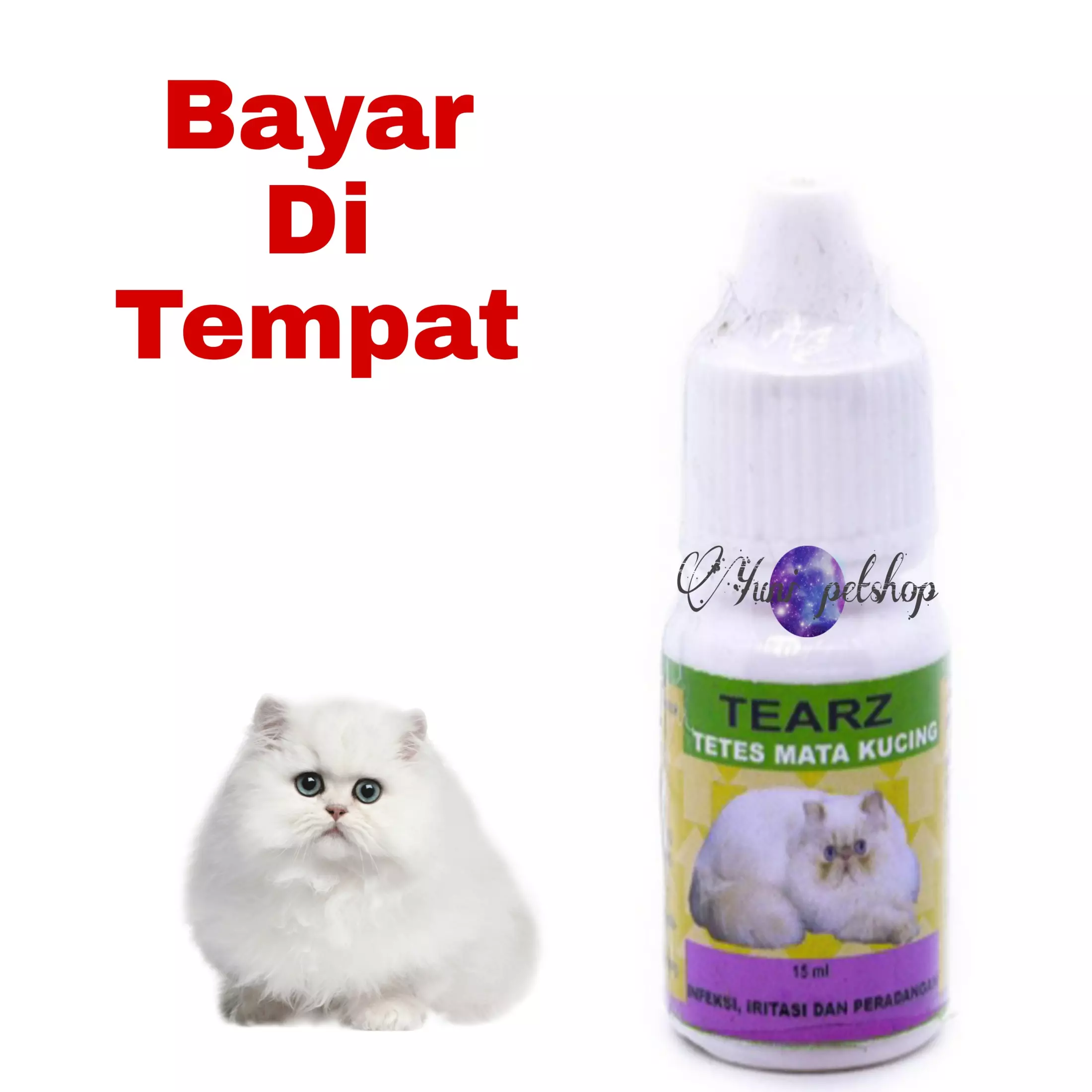 Detail Kucing Mata Merah Nomer 39