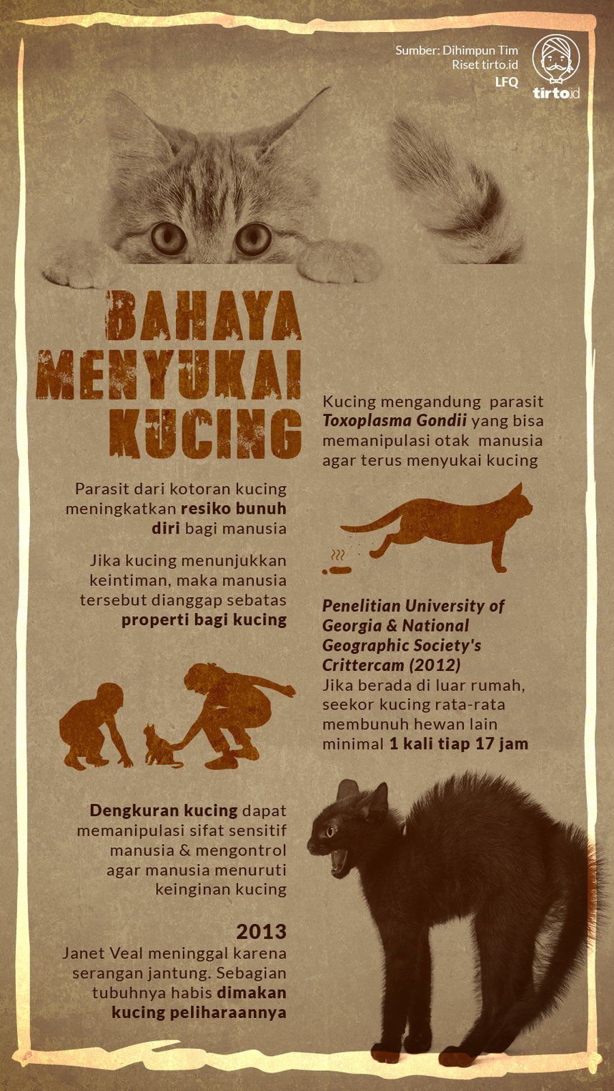 Detail Kucing Mati Di Rumah Nomer 40