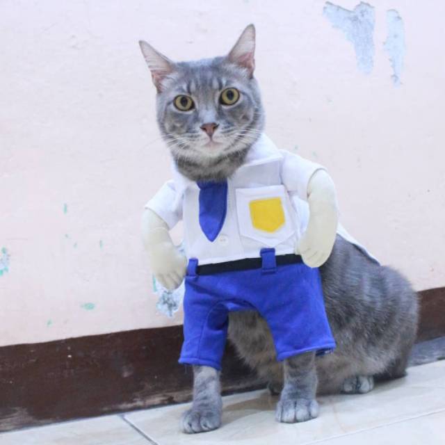 Detail Kucing Pakai Baju Sekolah Nomer 11