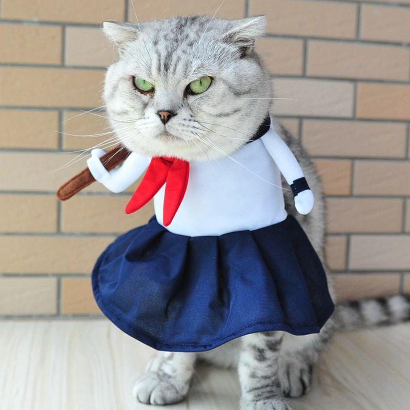 Detail Kucing Pakai Baju Sekolah Nomer 22
