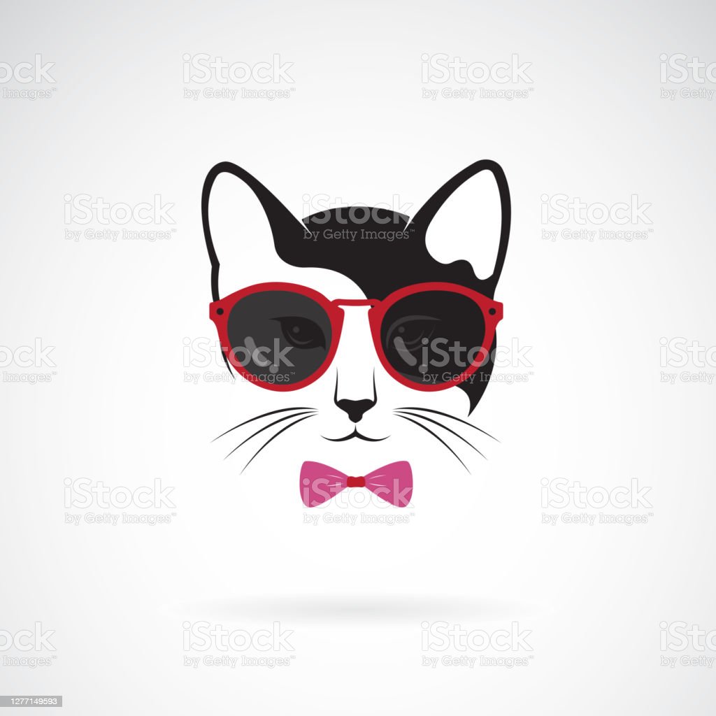 Detail Kucing Pakai Kacamata Hitam Nomer 38