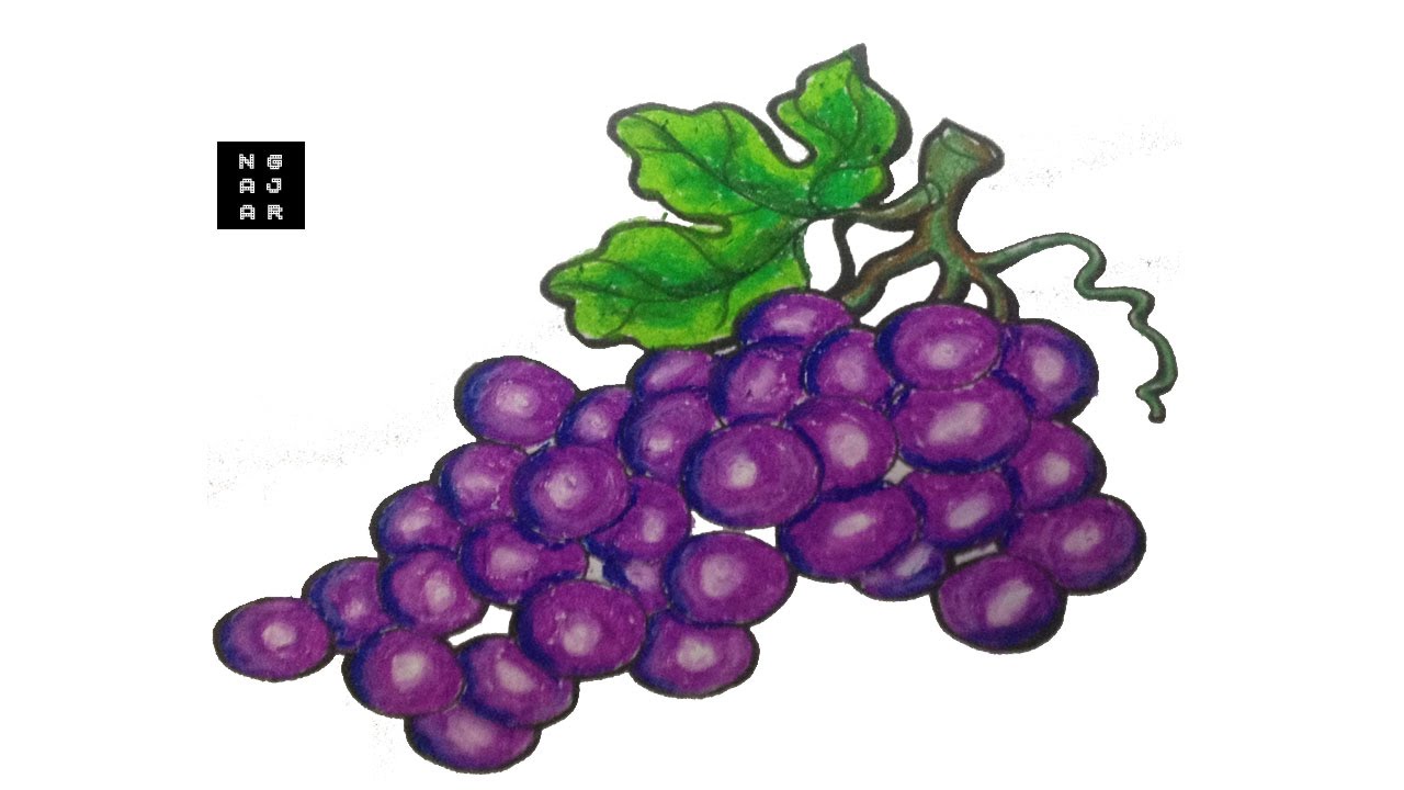 Detail Mewarna Gambar Anggur Nomer 11
