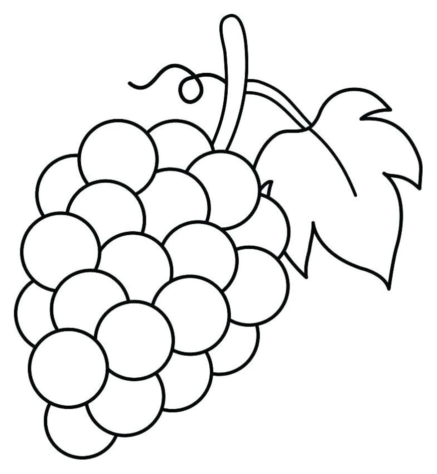Detail Mewarna Gambar Anggur Nomer 6
