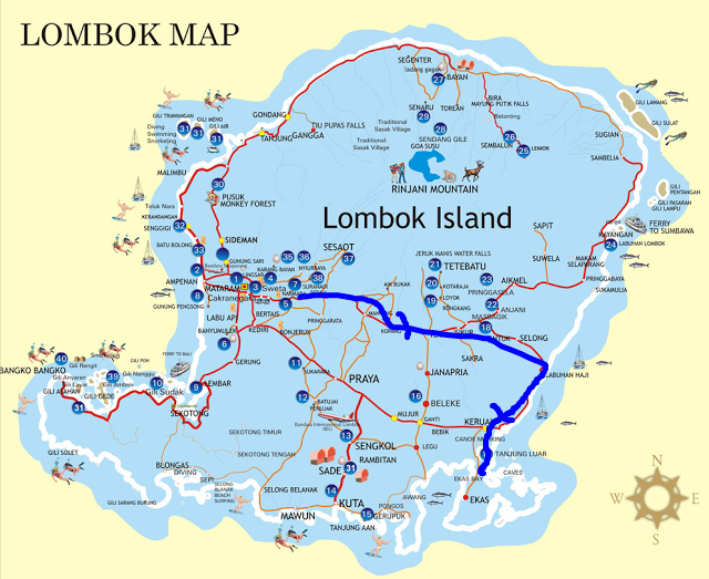 Detail Mewarna Gambar Lombok Nomer 40