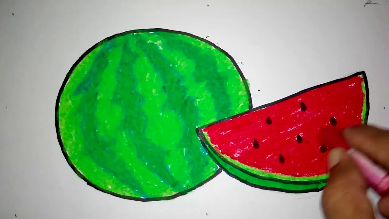 Detail Mewarnai Buah Semangka Nomer 13
