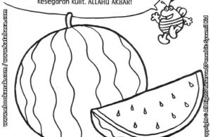 Detail Mewarnai Buah Semangka Nomer 24