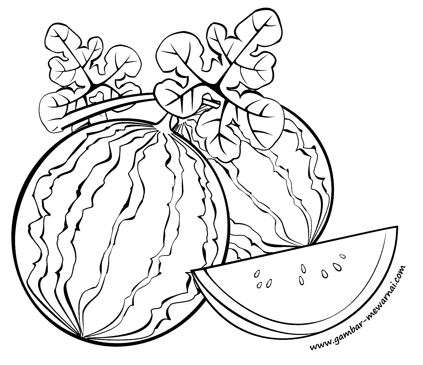 Detail Mewarnai Buah Semangka Nomer 5