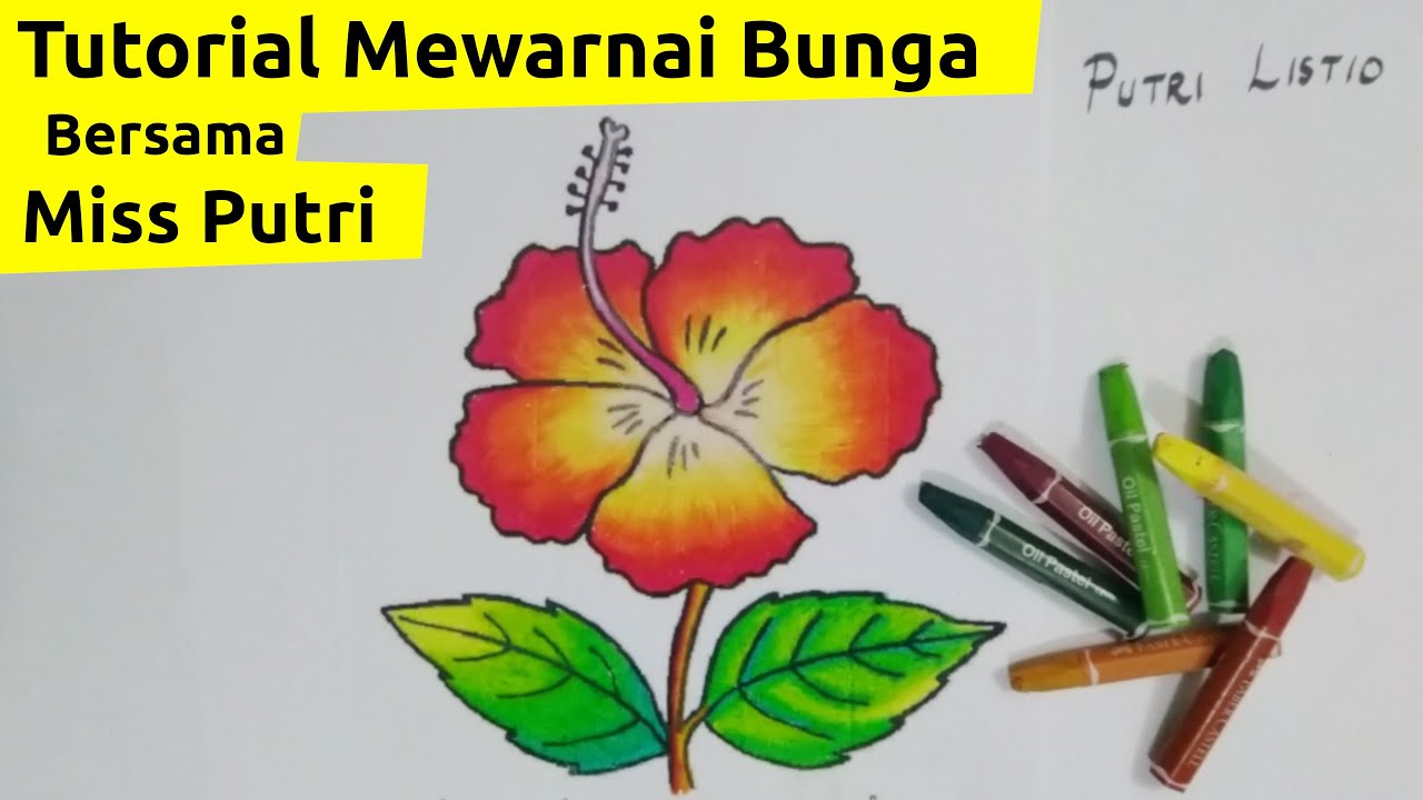 Detail Mewarnai Bunga Kembang Sepatu Nomer 15