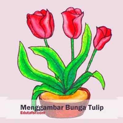 Detail Mewarnai Bunga Tulip Nomer 54