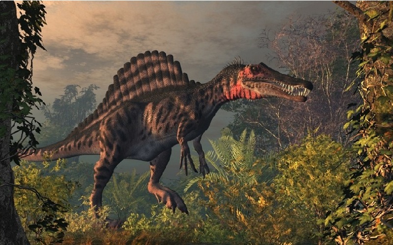 Detail Mewarnai Dinosaurus Spinosaurus Nomer 39