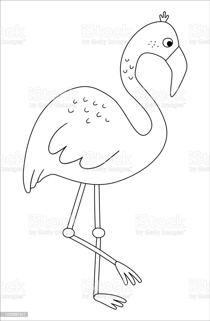 Mewarnai Flamingo - KibrisPDR