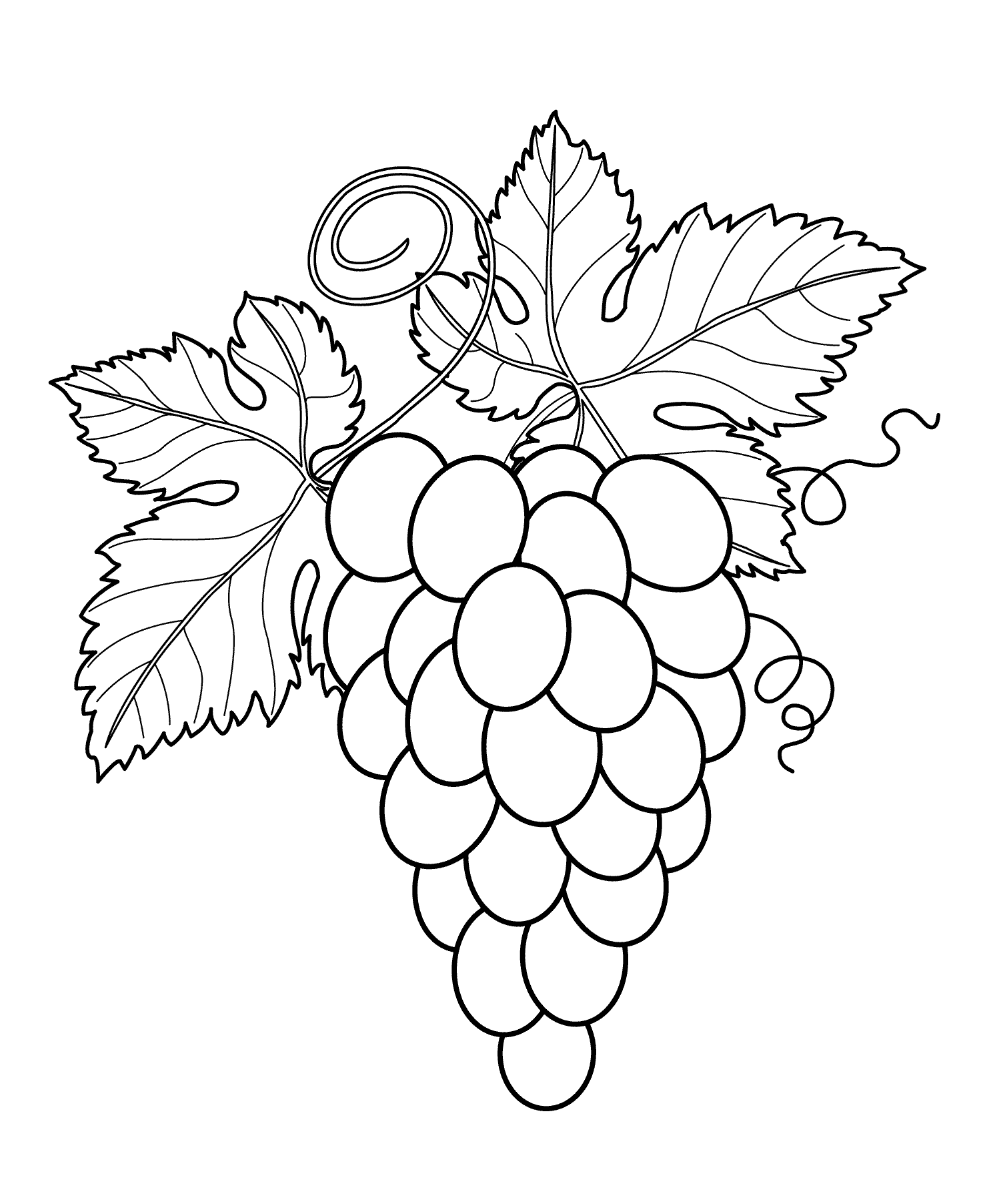 Detail Mewarnai Gambar Anggur Nomer 19