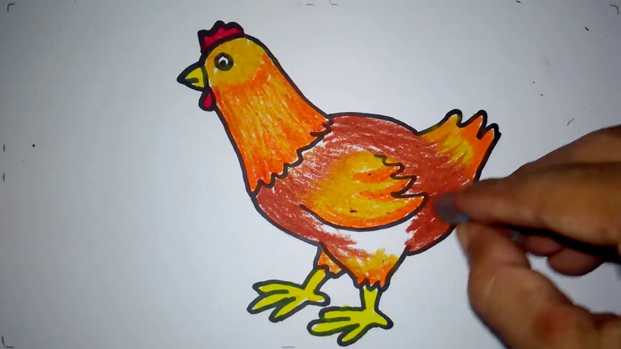 Mewarnai Gambar Ayam Betina - KibrisPDR