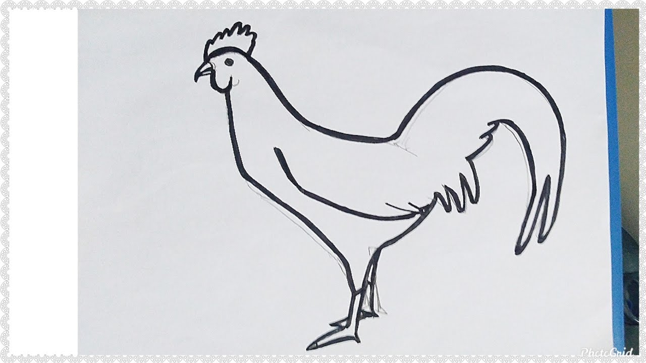 Detail Mewarnai Gambar Ayam Jago Nomer 27