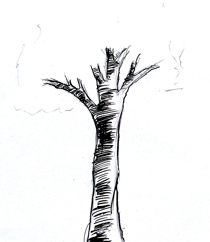 Detail Mewarnai Gambar Batang Pohon Nomer 12