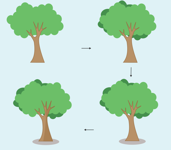 Detail Mewarnai Gambar Batang Pohon Nomer 27