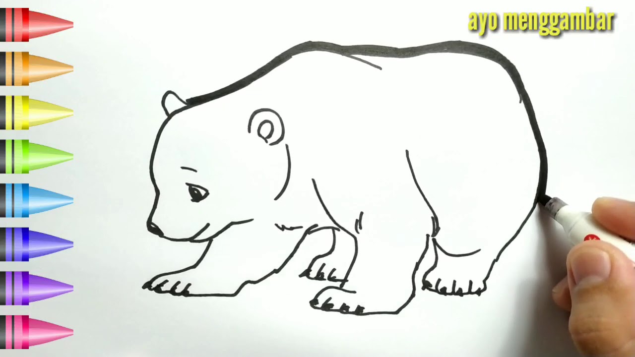 Detail Mewarnai Gambar Beruang Nomer 3
