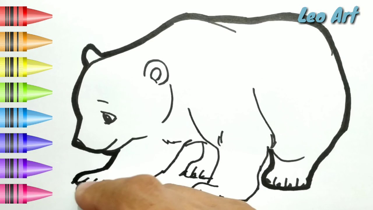 Detail Mewarnai Gambar Beruang Nomer 9