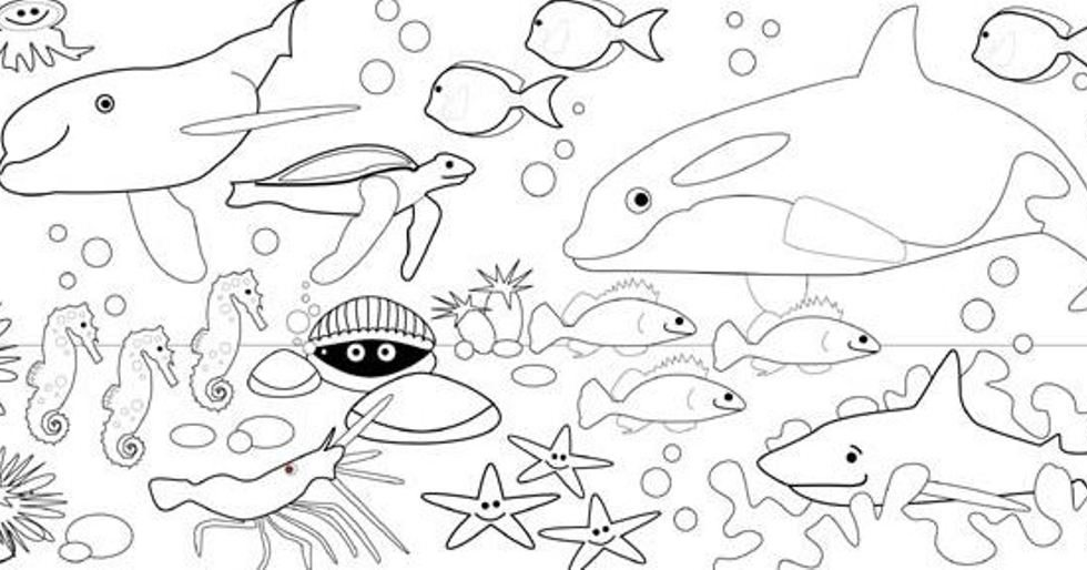 Detail Mewarnai Gambar Binatang Laut Nomer 23