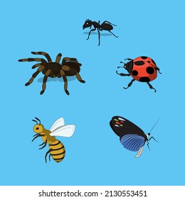 Detail Mewarnai Gambar Binatang Serangga Nomer 50