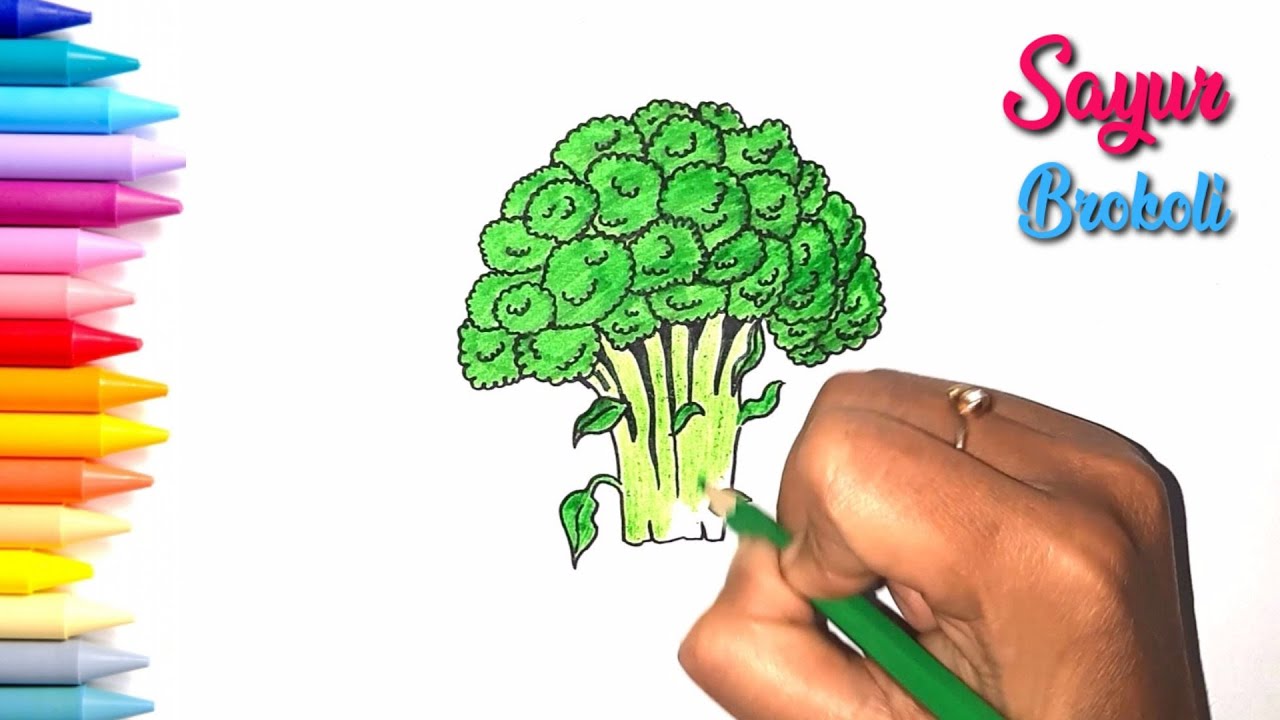 Detail Mewarnai Gambar Brokoli Nomer 4