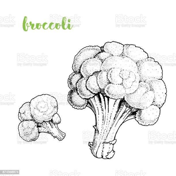 Detail Mewarnai Gambar Brokoli Nomer 45