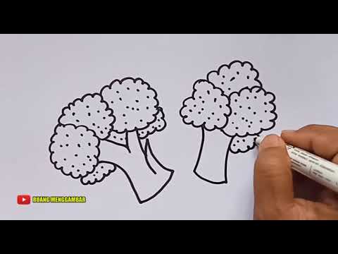 Detail Mewarnai Gambar Brokoli Nomer 9