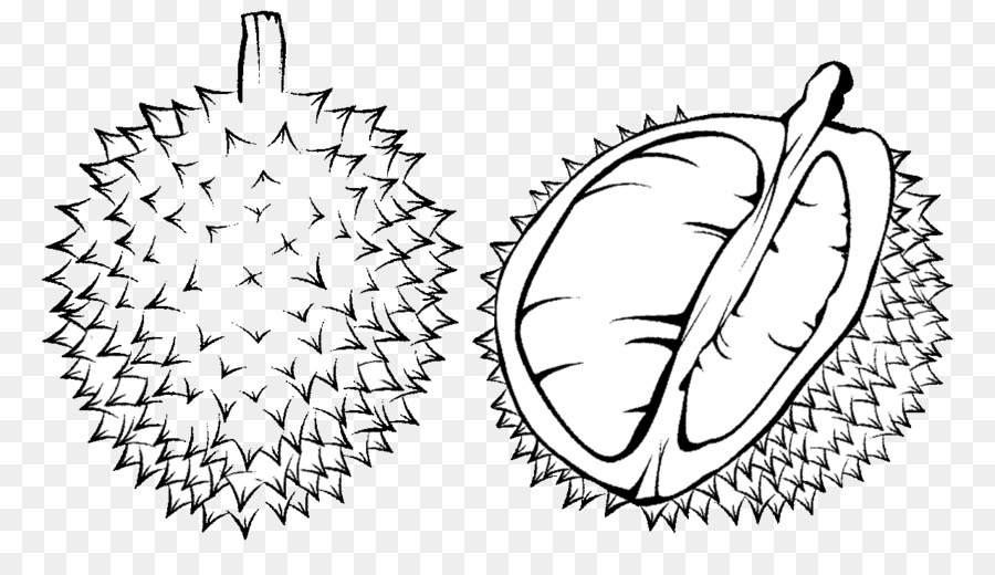 Detail Mewarnai Gambar Buah Durian Nomer 10