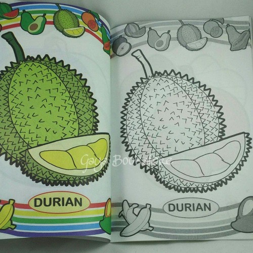 Detail Mewarnai Gambar Buah Durian Nomer 14