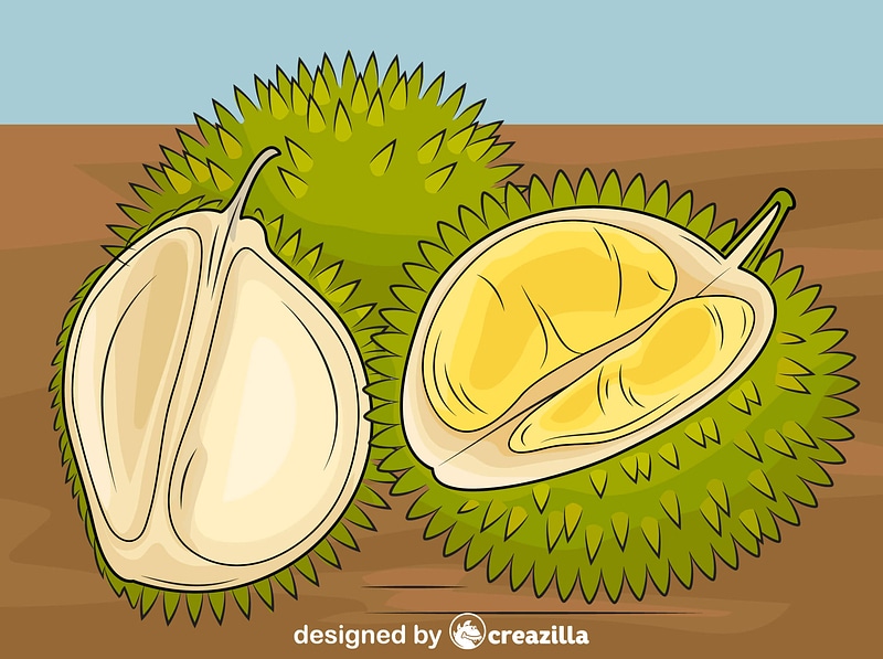 Detail Mewarnai Gambar Buah Durian Nomer 21