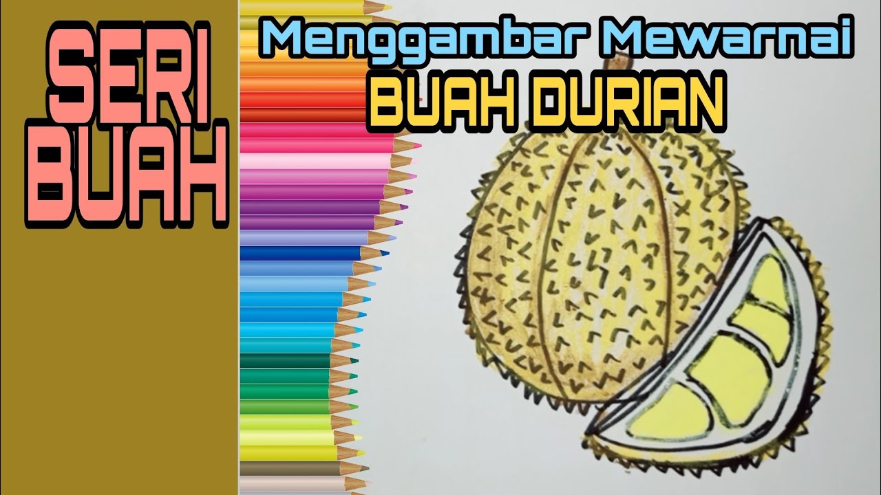 Detail Mewarnai Gambar Buah Durian Nomer 27