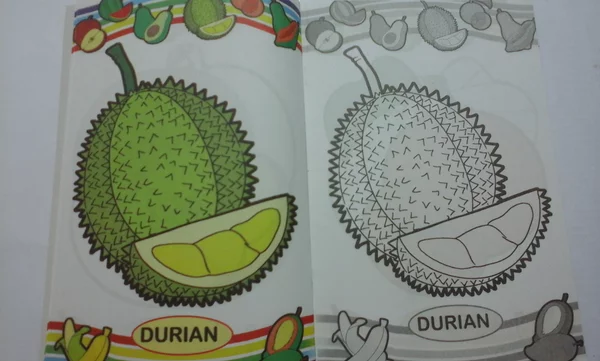 Detail Mewarnai Gambar Buah Durian Nomer 35