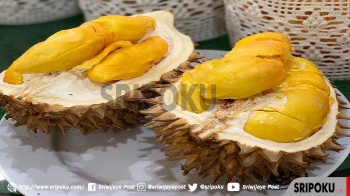 Detail Mewarnai Gambar Buah Durian Nomer 50