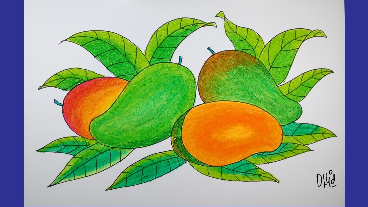 Detail Mewarnai Gambar Buah Mangga Nomer 31