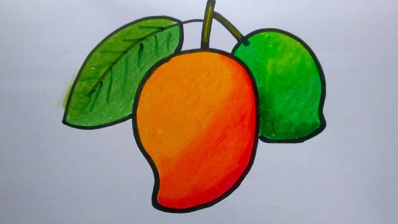 Detail Mewarnai Gambar Buah Mangga Nomer 4