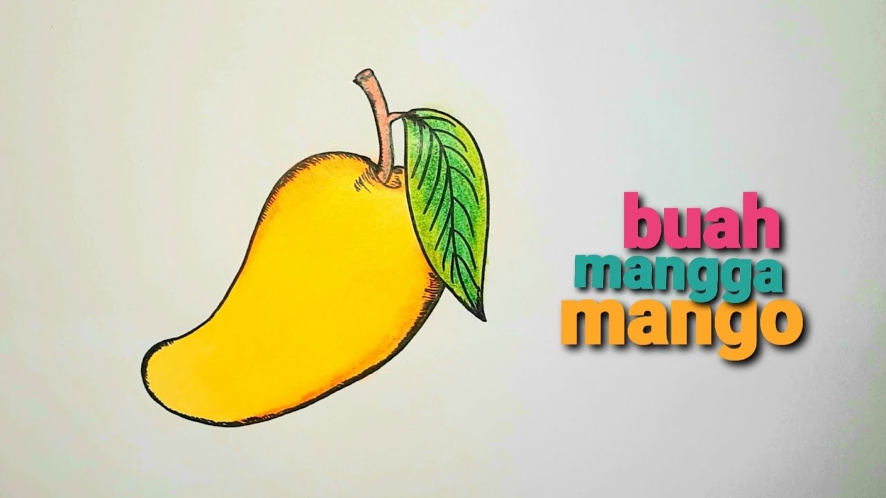 Detail Mewarnai Gambar Buah Mangga Nomer 46