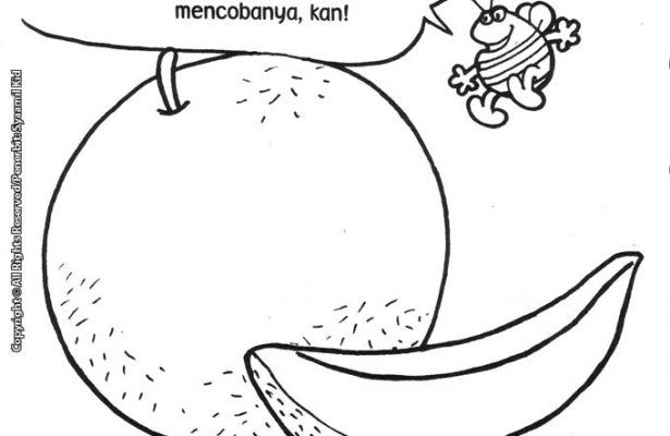 Detail Mewarnai Gambar Buah Melon Nomer 13