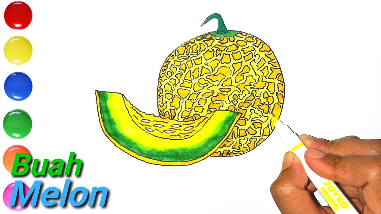 Detail Mewarnai Gambar Buah Melon Nomer 3